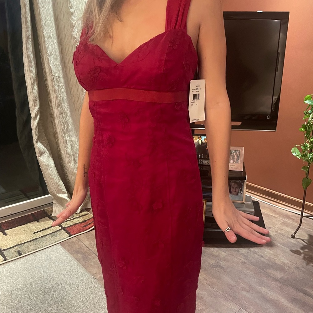 NWT Nicole Miller Silk Red Dress *perfect for Valentine’s-*